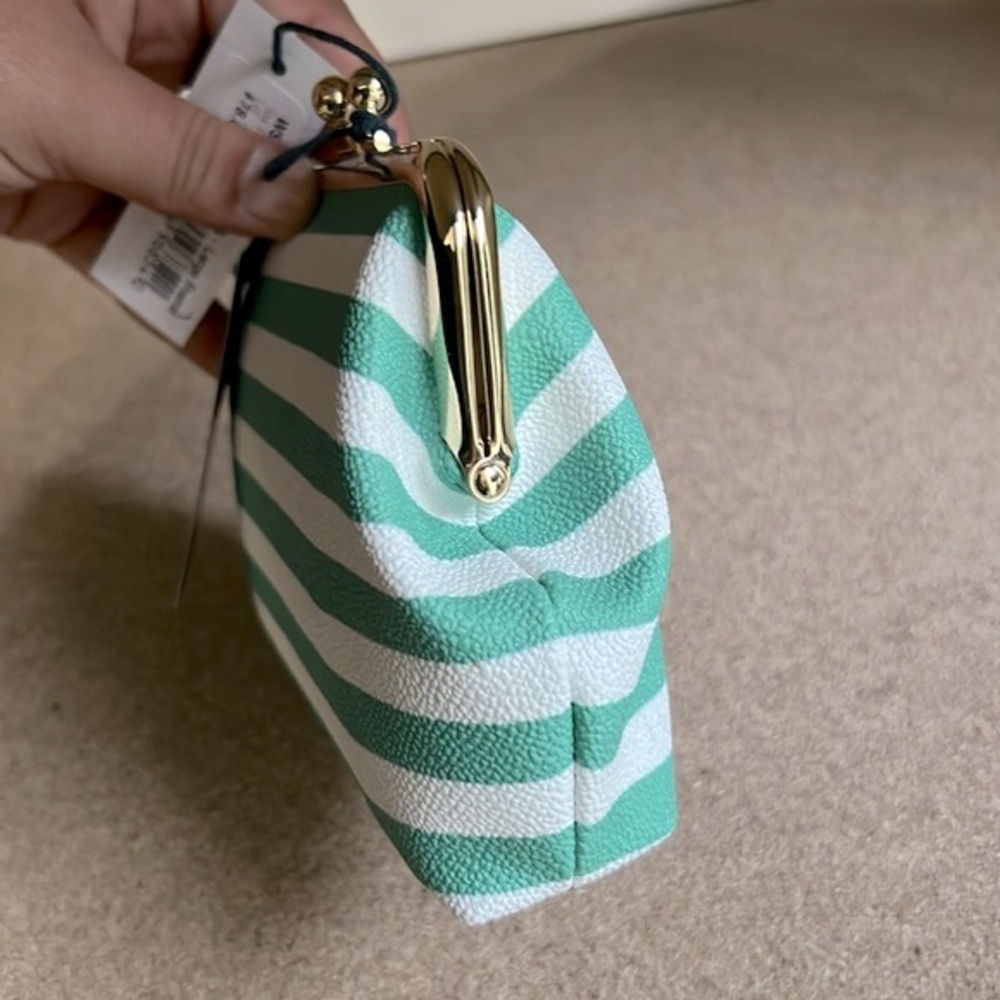 NWT Dooney & Bourke Large Striped Sena Frame Wallet in Sea Foam - Picture 4 of 9